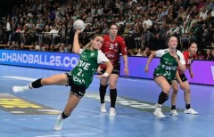 VfL Oldenburg gewinnt mit 28:23 gegen Zwickau