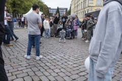 Wissenschaft erlebbar machen