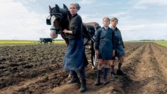 Kino: Amrum